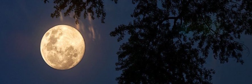 nenode19's profile banner image