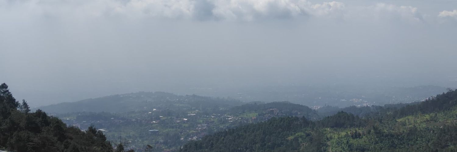 In case you missed me banner