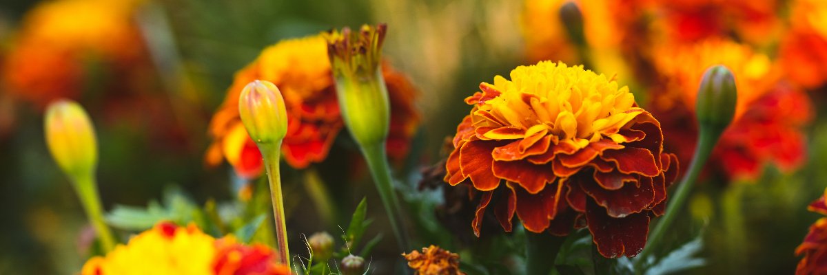 loriley1428's profile banner image