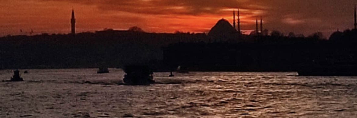 thavlu's profile banner image