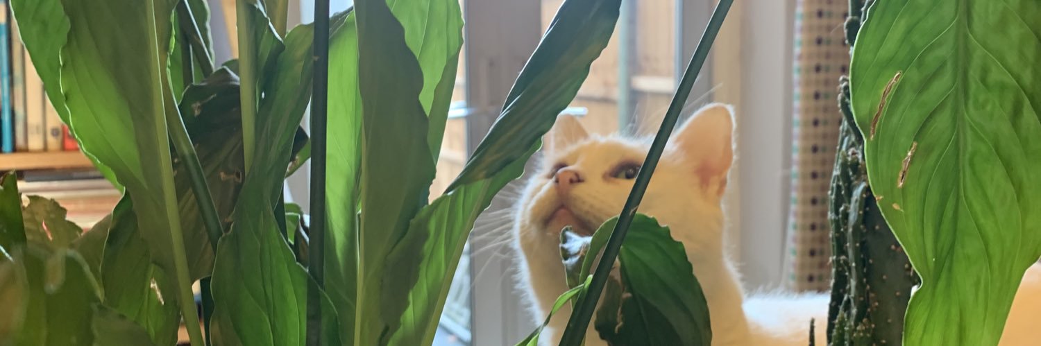 _vegancatlady's profile banner image