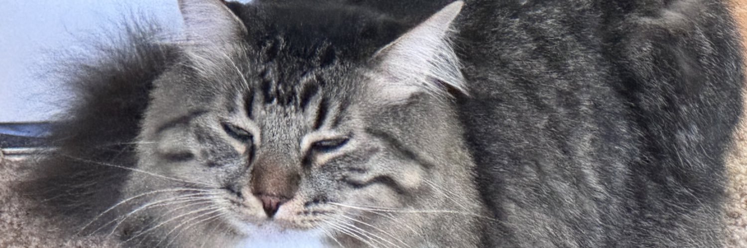 KarenF's profile banner image