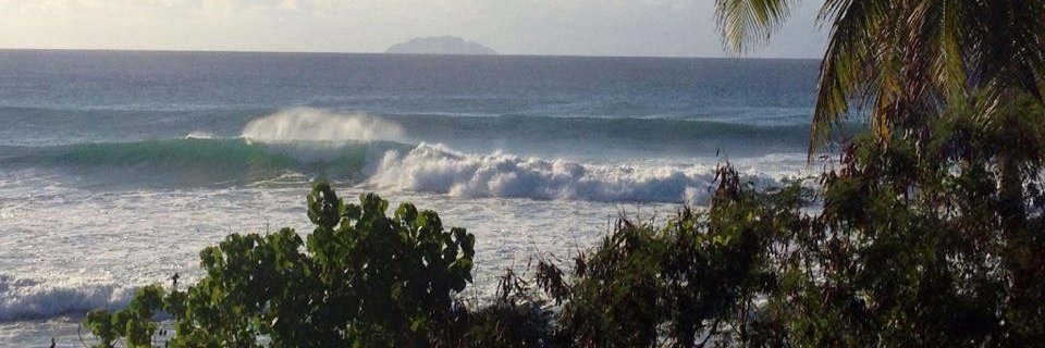 Michaela Fleming banner