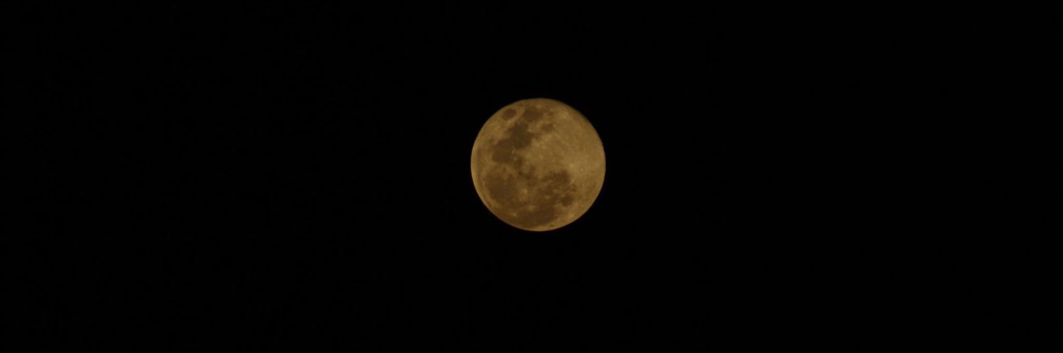 olicustodiio's profile banner image