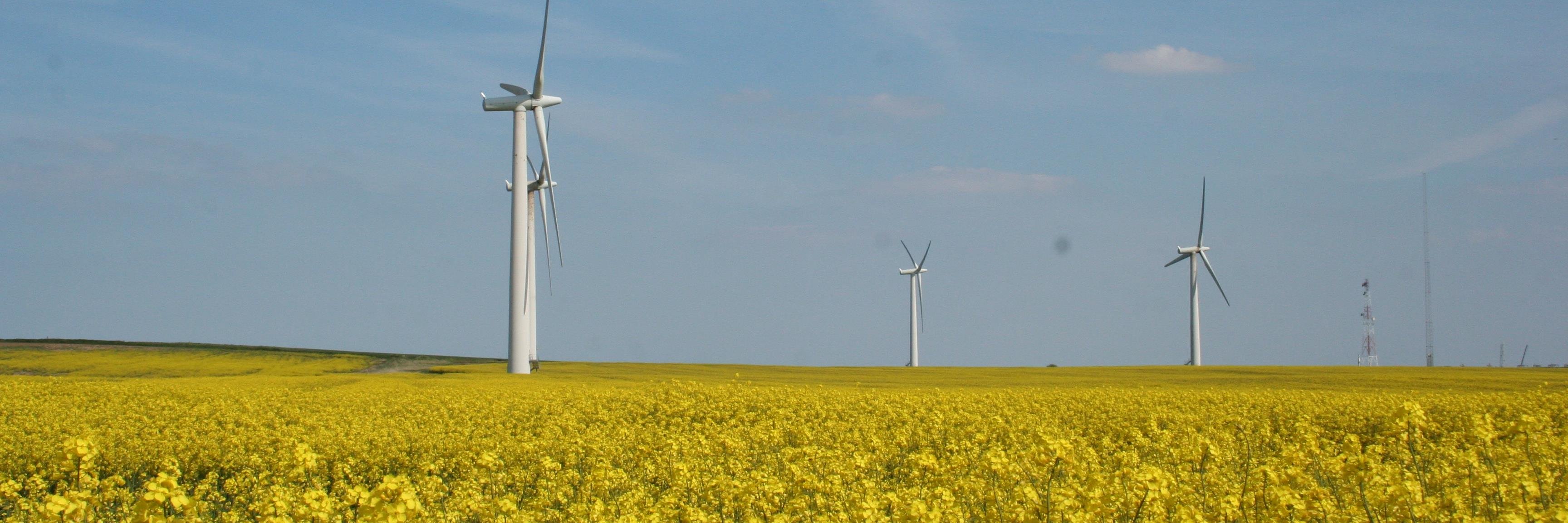 BloomFinance's profile banner image