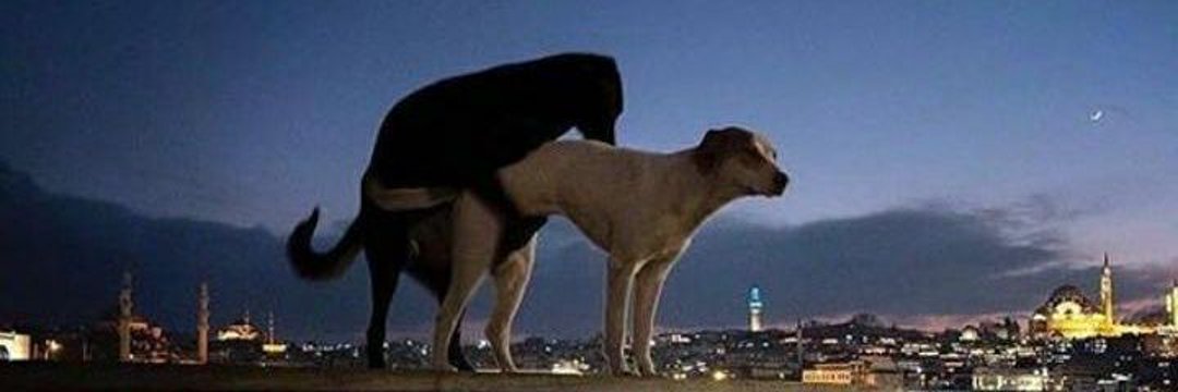 𝘐𝘵’𝘴 𝘮𝘦 x̸ banner