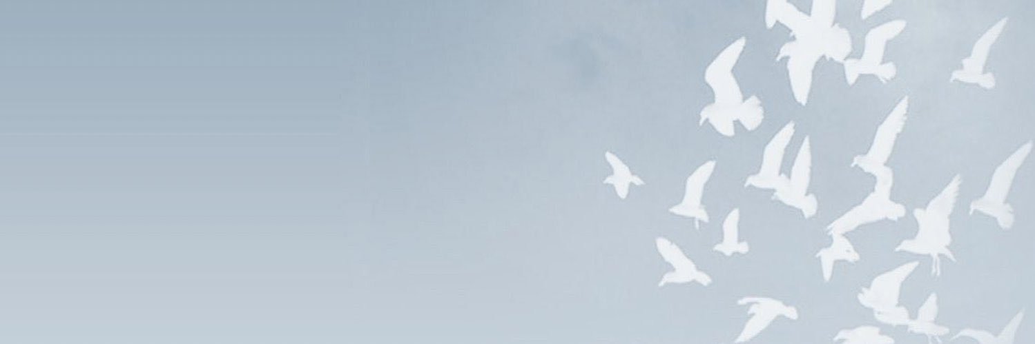 sa_nado's profile banner image