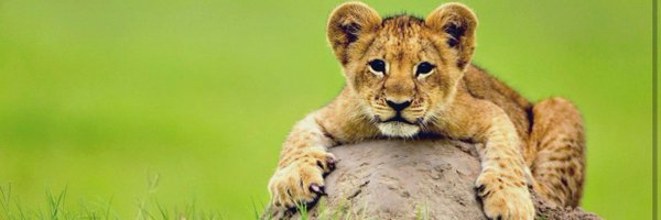 rubengl1995 Profile Banner