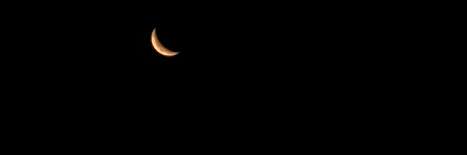 LisaaRoman15's profile banner image