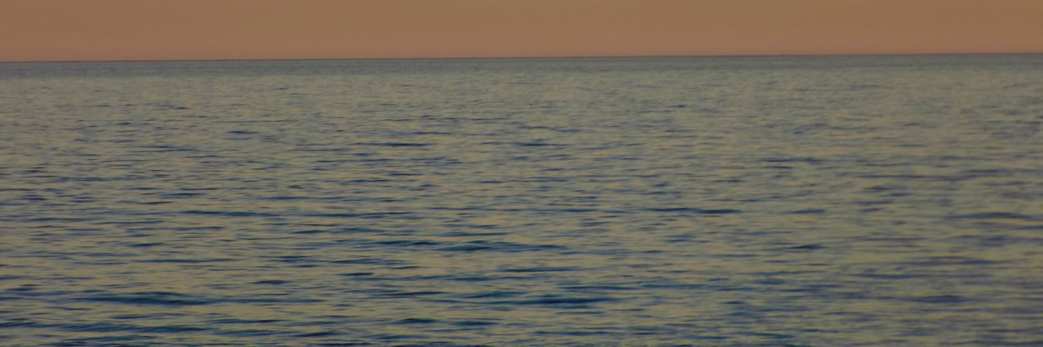 valentina banner