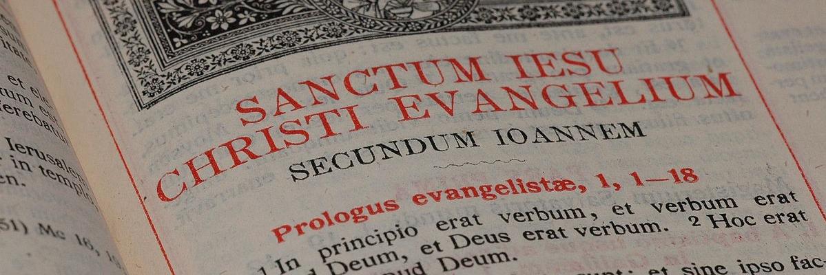 Miasteczkowy Wikary banner