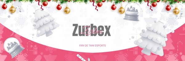 ZurbexESP Profile Banner
