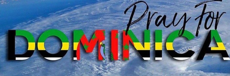 shingers's profile banner image