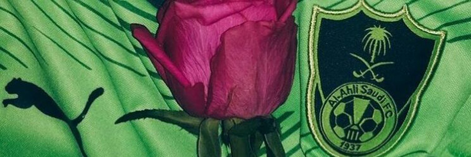 Altshmbin's profile banner image