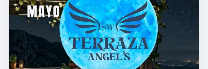 ANGELS SW PUEBLA. banner