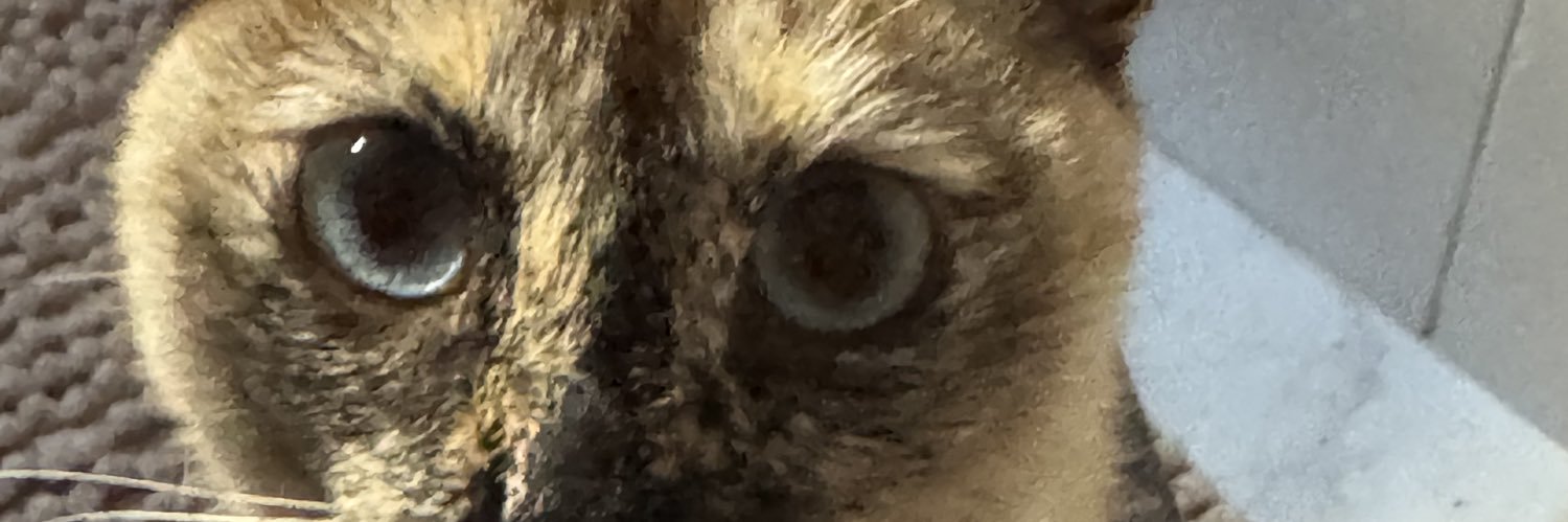 Andre_Cardens's profile banner image