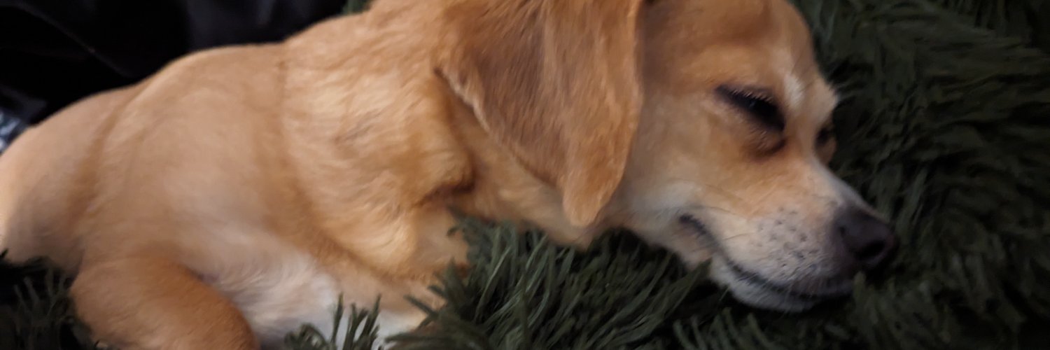MsMelissaMs's profile banner image
