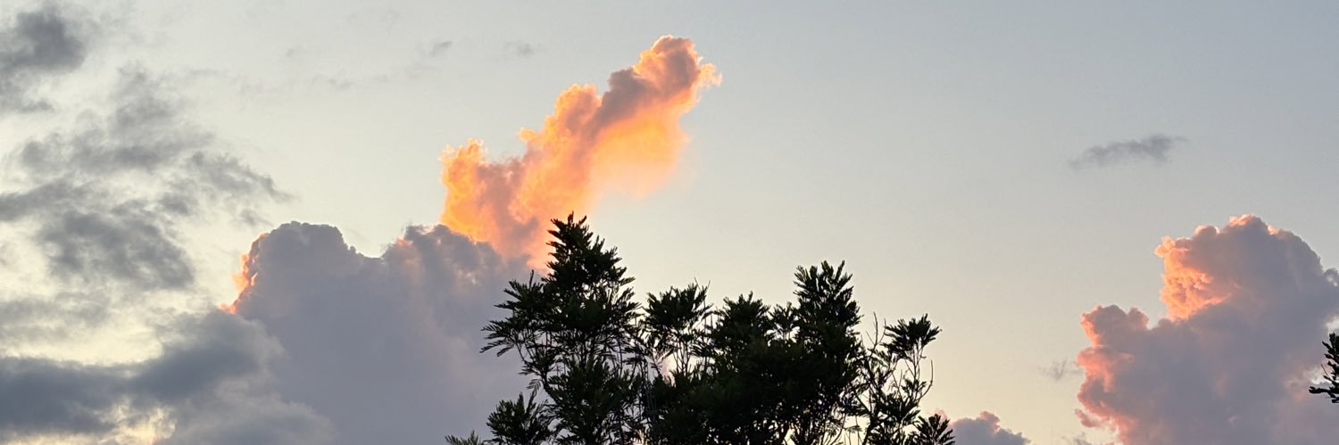 ewknurman's profile banner image