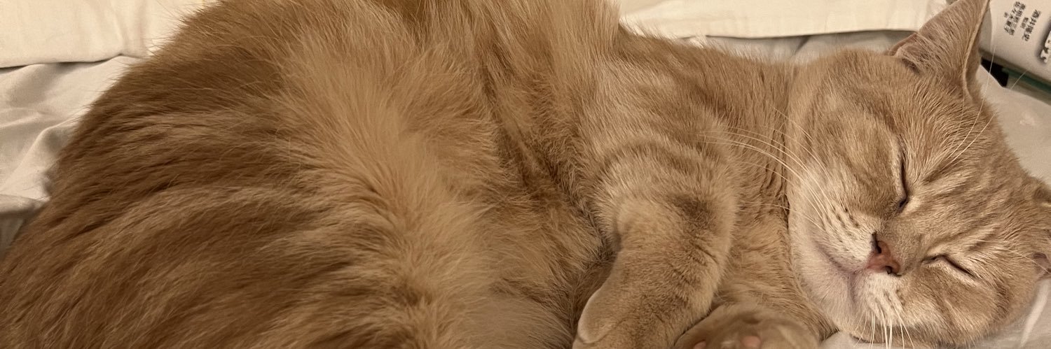 otsuki7's profile banner image