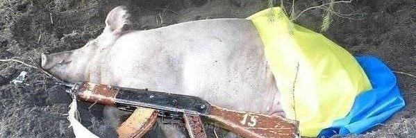 Pervtatoes🥔 banner