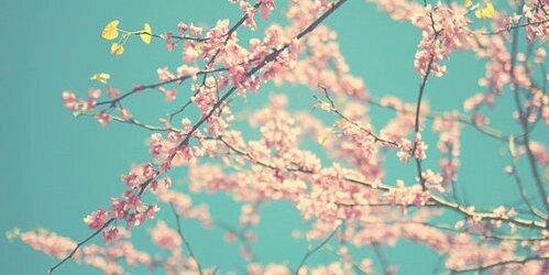 simply_cel_'s profile banner image