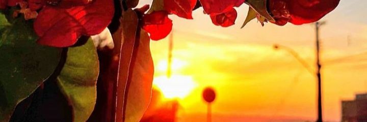 Joseallynne's profile banner image