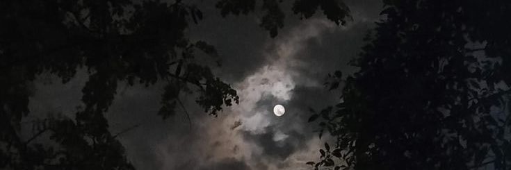 fh8_'s profile banner image
