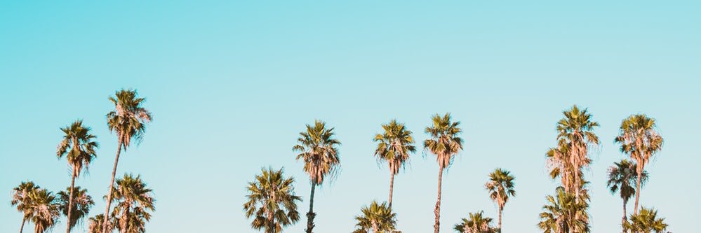 morgsleex's profile banner image