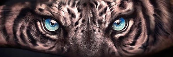 Yehothai's profile banner image