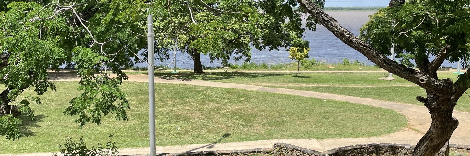 Inés María Davalillo banner