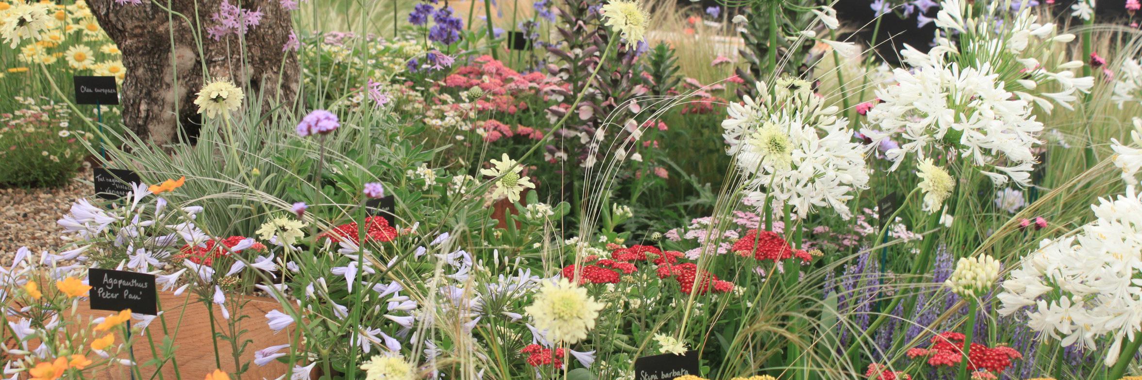 ToddsBotanics's profile banner image