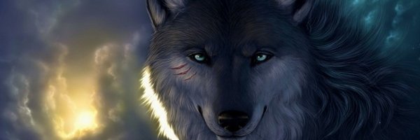 Cleider212's profile banner image