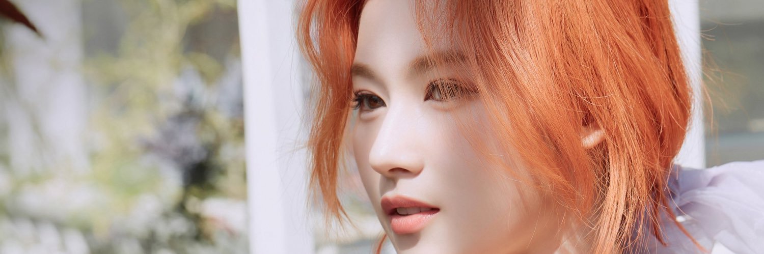 NoShynaNoLife's profile banner image