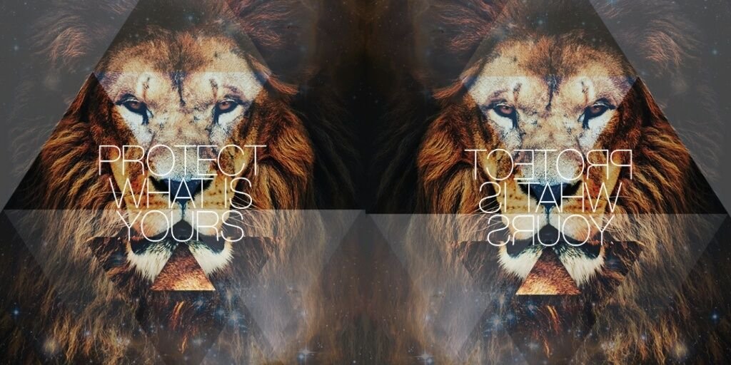 Rayna_Arya's profile banner image