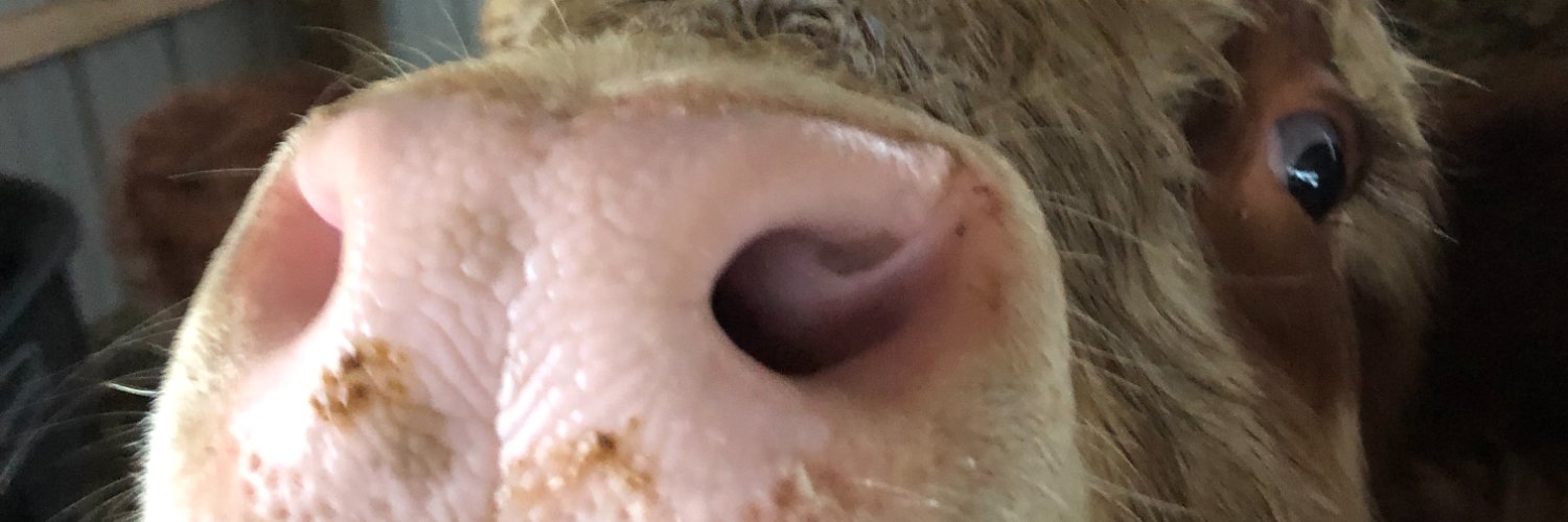 Jmason12's profile banner image