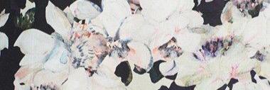 katbest_'s profile banner image