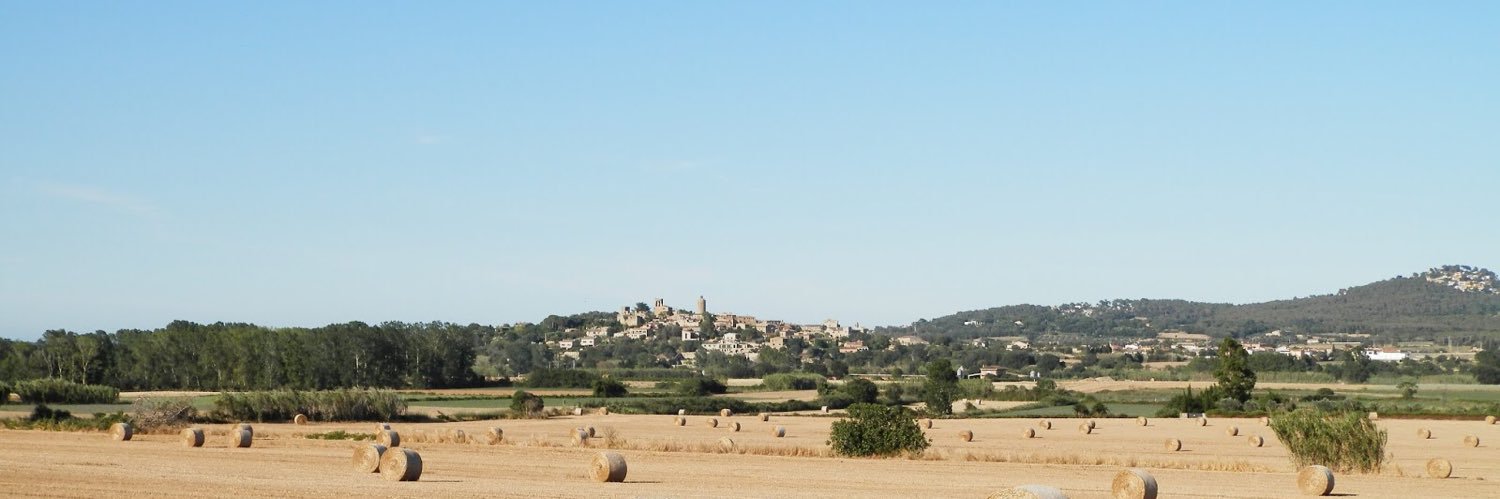 joan planagumà banner