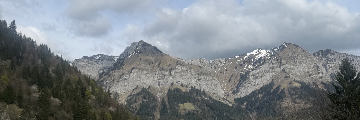 La petite sirène banner