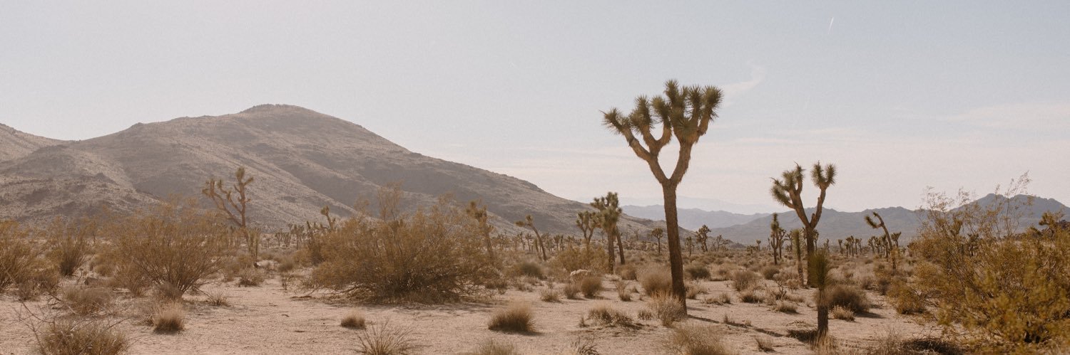 clairechunt's profile banner image