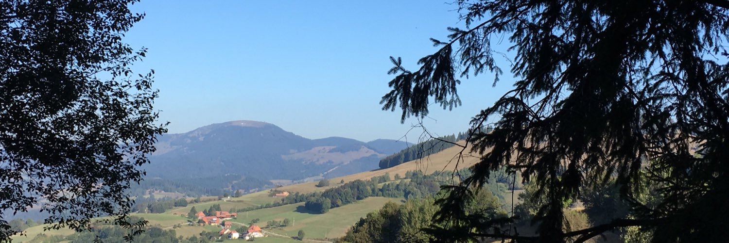 JohannaTreeck's profile banner image