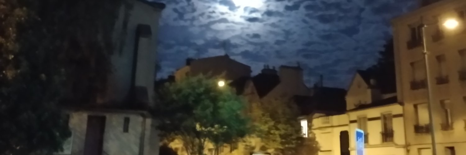 StevenLeRoy6's profile banner image
