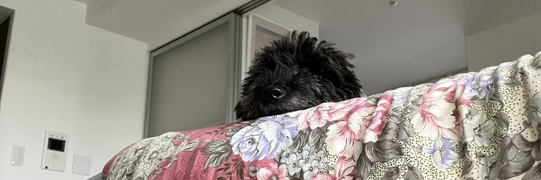 mt_daroi's profile banner image