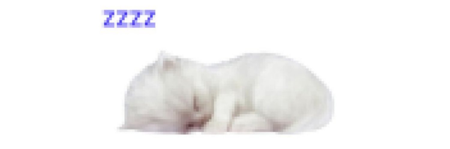 sasa toska banner