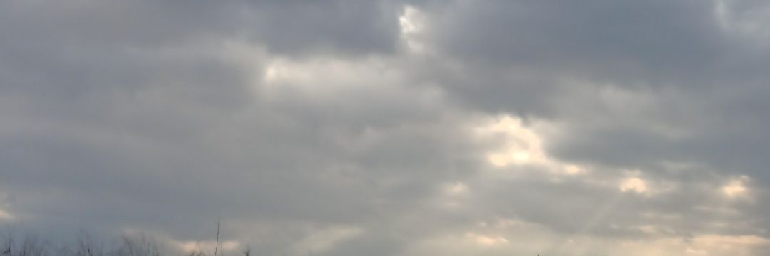 azamc11's profile banner image