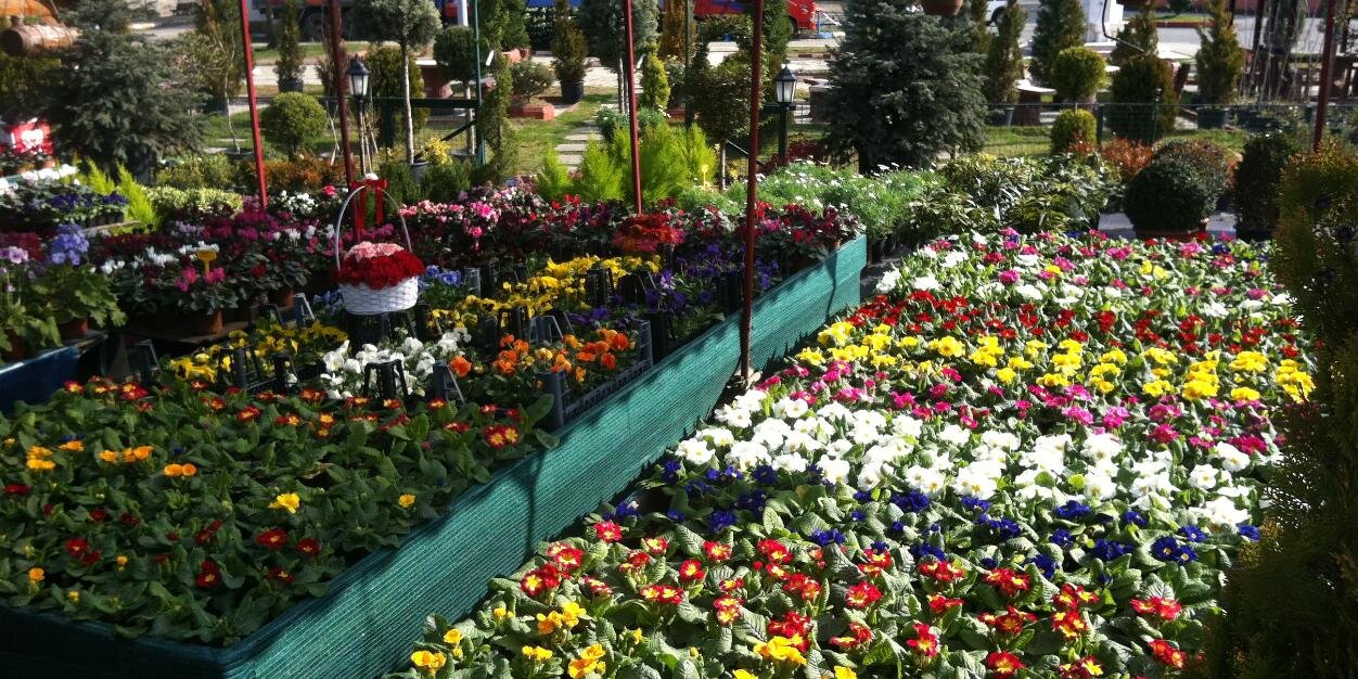 alperI_IPEK's profile banner image