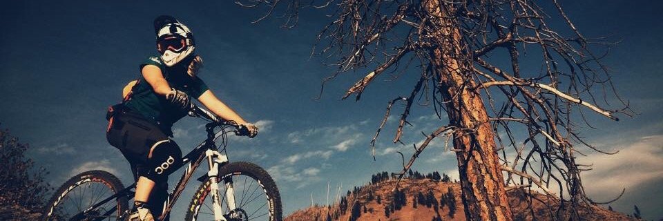 AshleyKWard's profile banner image