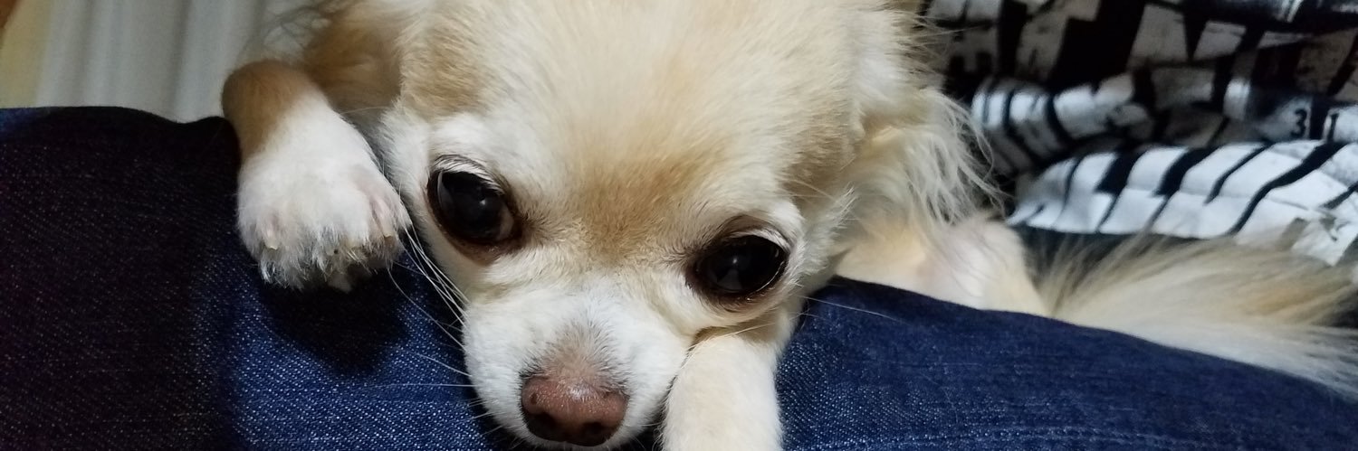 aokami_asmr's profile banner image