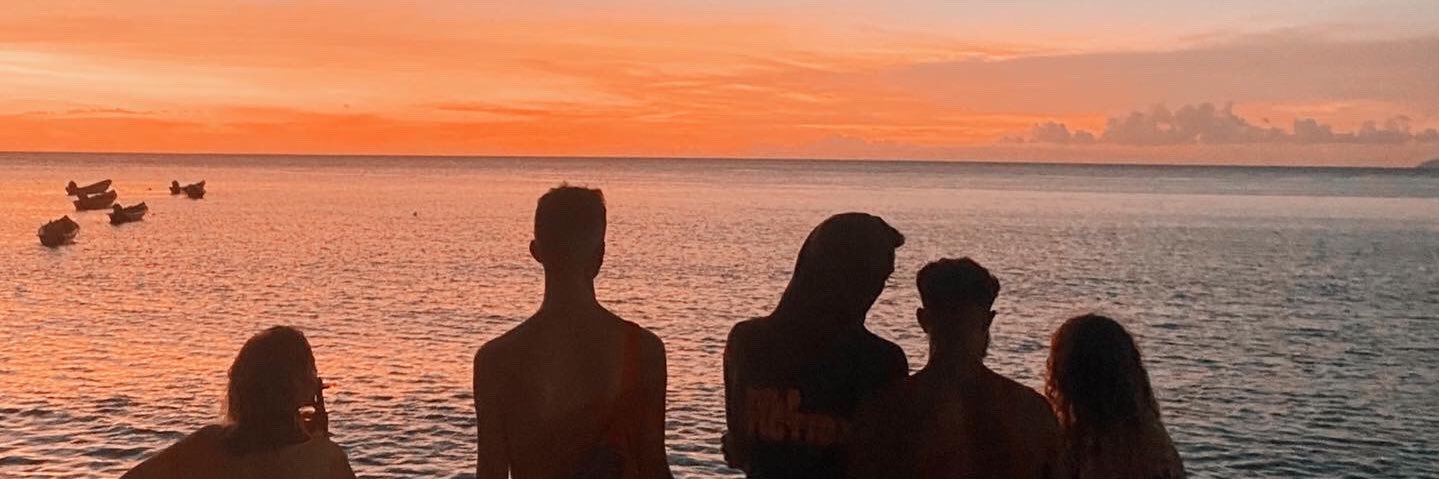plntom's profile banner image