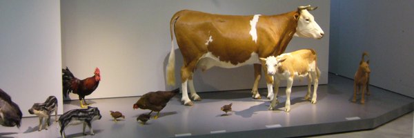 Nic_ky___R Profile Banner