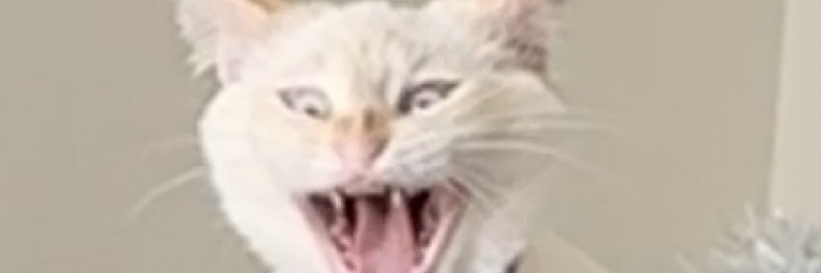 k banner